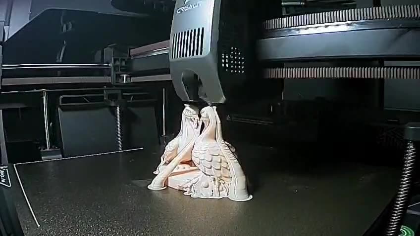Peacock Wedding Topper — Print Timelapse