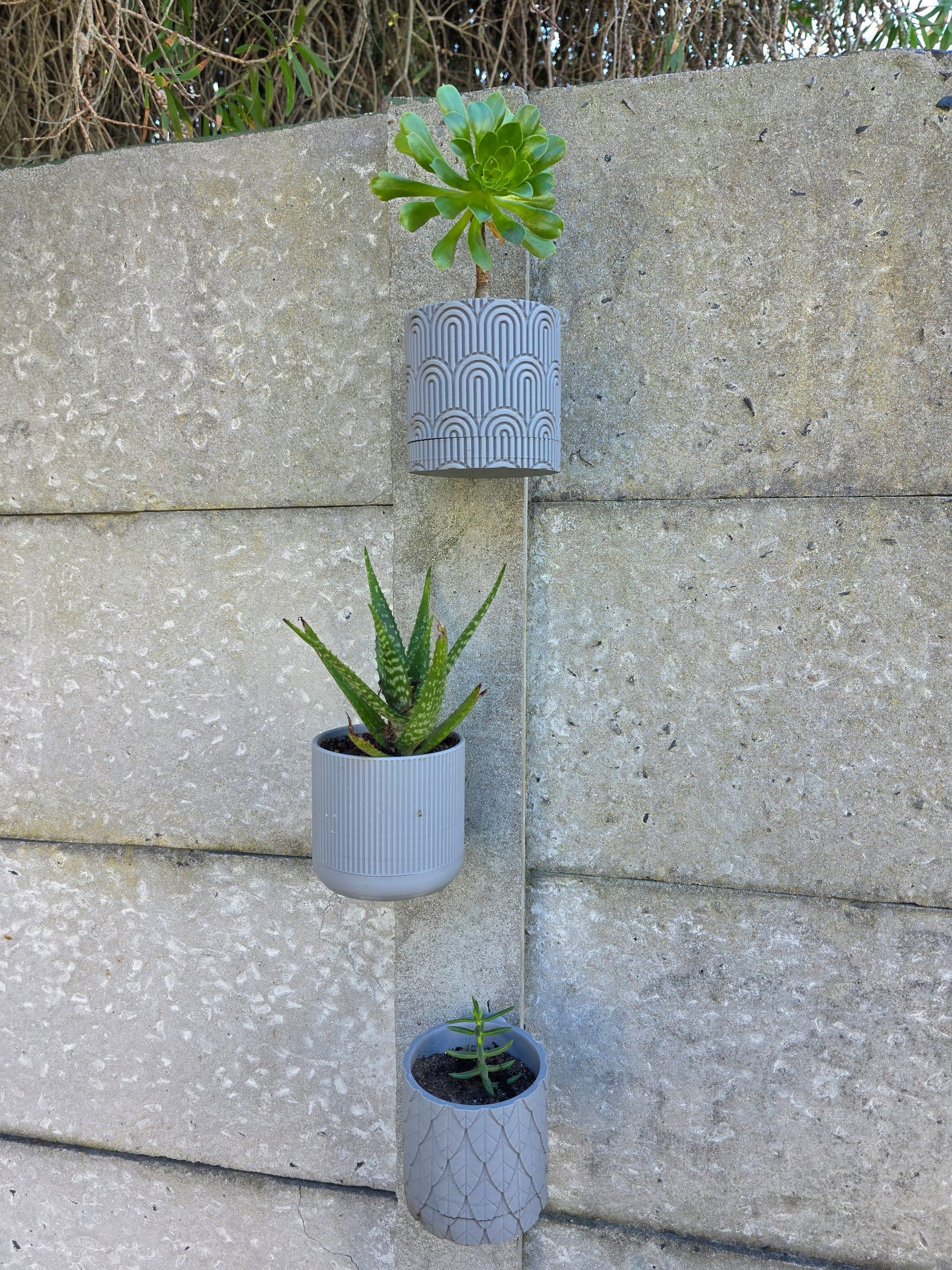 Wall-Mounted Succulent Planters